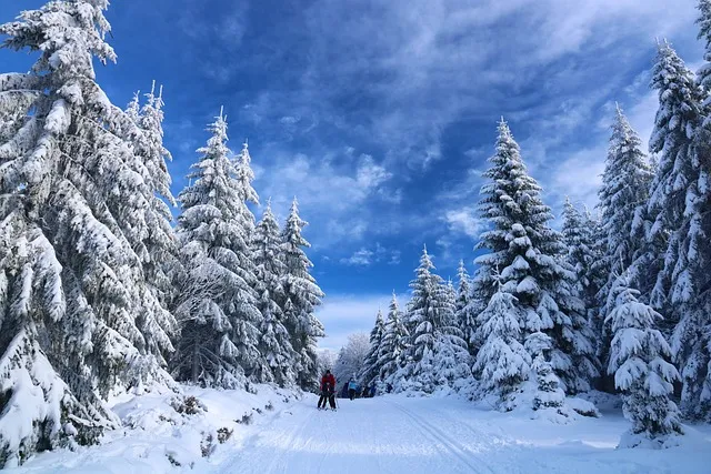 Chamonix